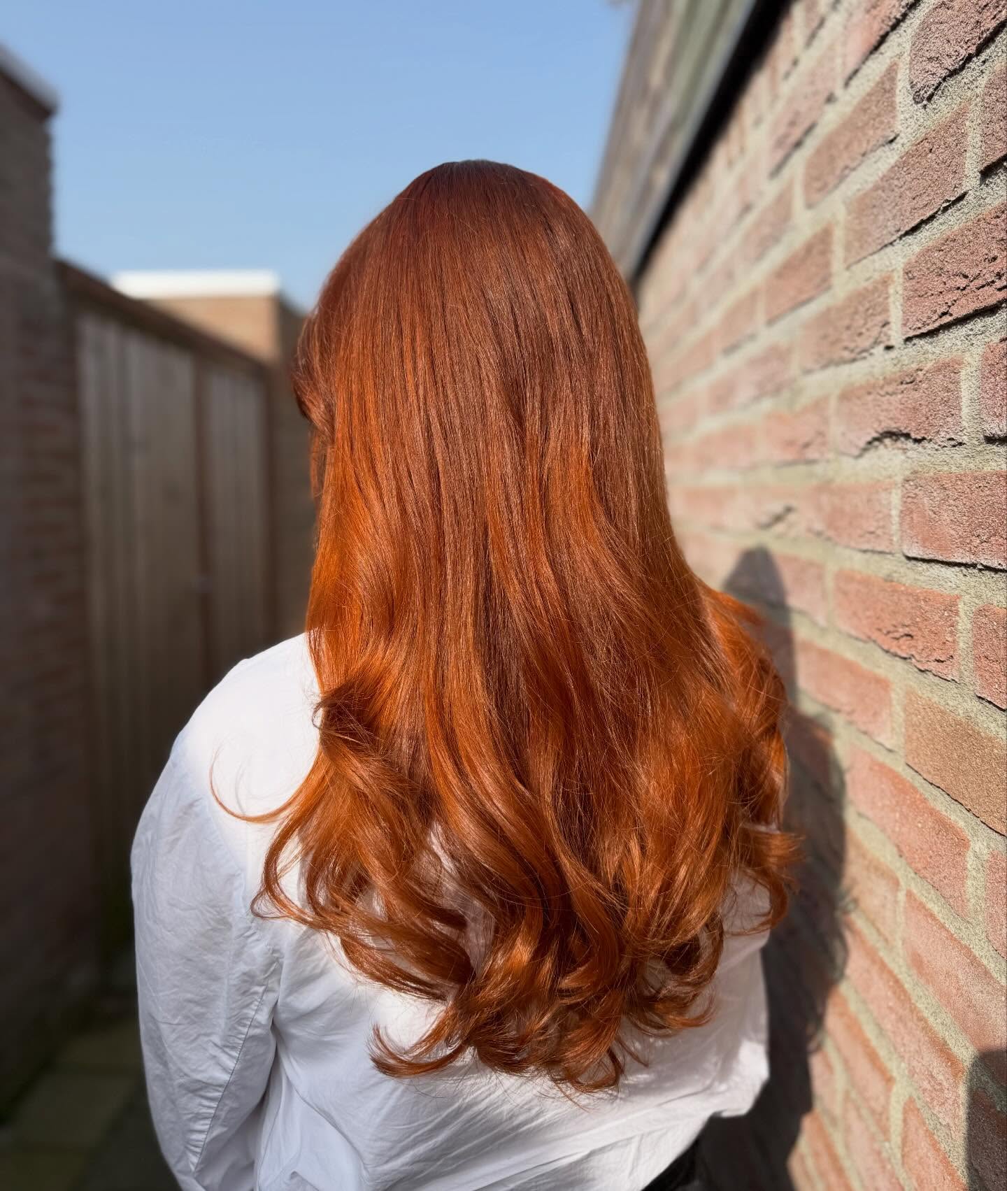 Lang koperrood haar met slagen, van achteren gezien in de zon